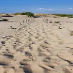 In Near The Nieuwpoort