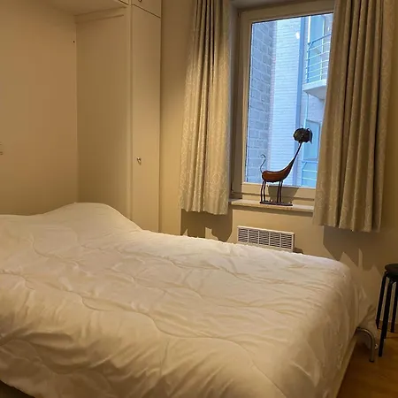 Casino D2 With A Location Apartment