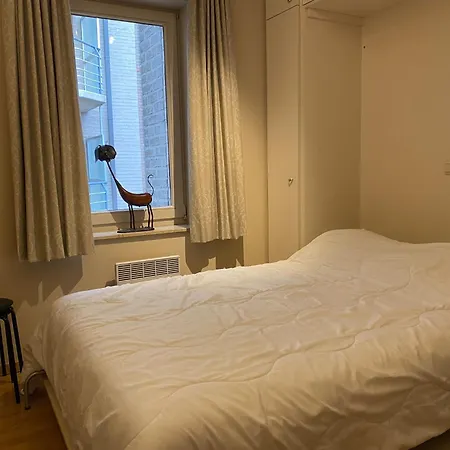 Casino D2 With A Location Apartment