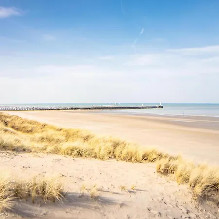 In Near The アパート