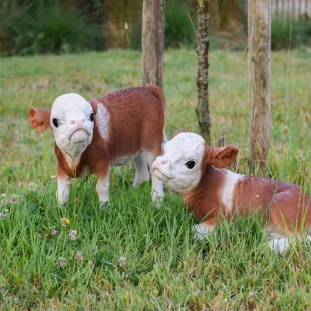 In Near The アパート